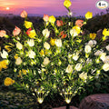 GIGALUMI Solar Garden Lights by GIGALUMI